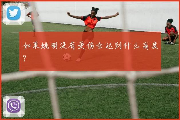 如果姚明没有受伤会达到什么高度？