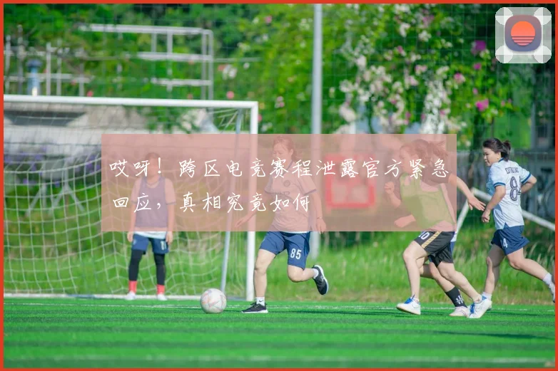 哎呀！跨区电竞赛程泄露官方紧急回应，真相究竟如何