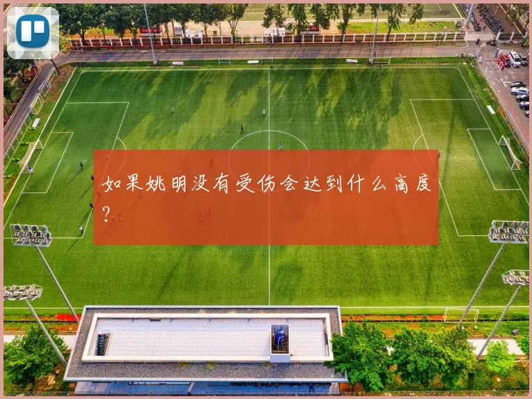 如果姚明没有受伤会达到什么高度?